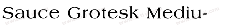 Sauce Grotesk Mediu字体转换